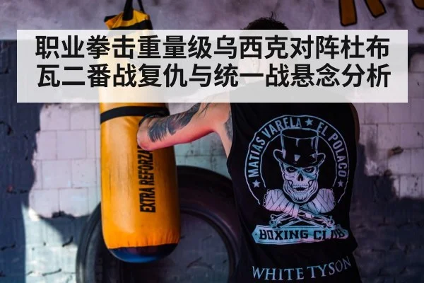 boxer training gym punching bag